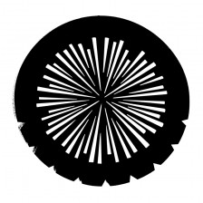 Gobo 77751 Radial Lines