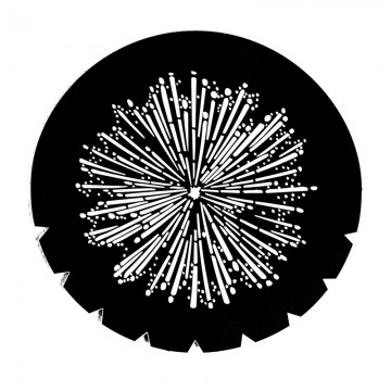 Gobo 77767 Fireworks 2