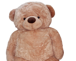 Giant Teddy Bear Rental